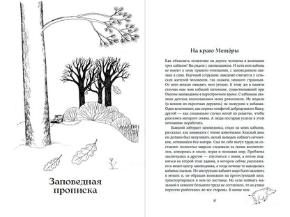 Надежда Панкова: Гнездо кабана: Истории из заповедника