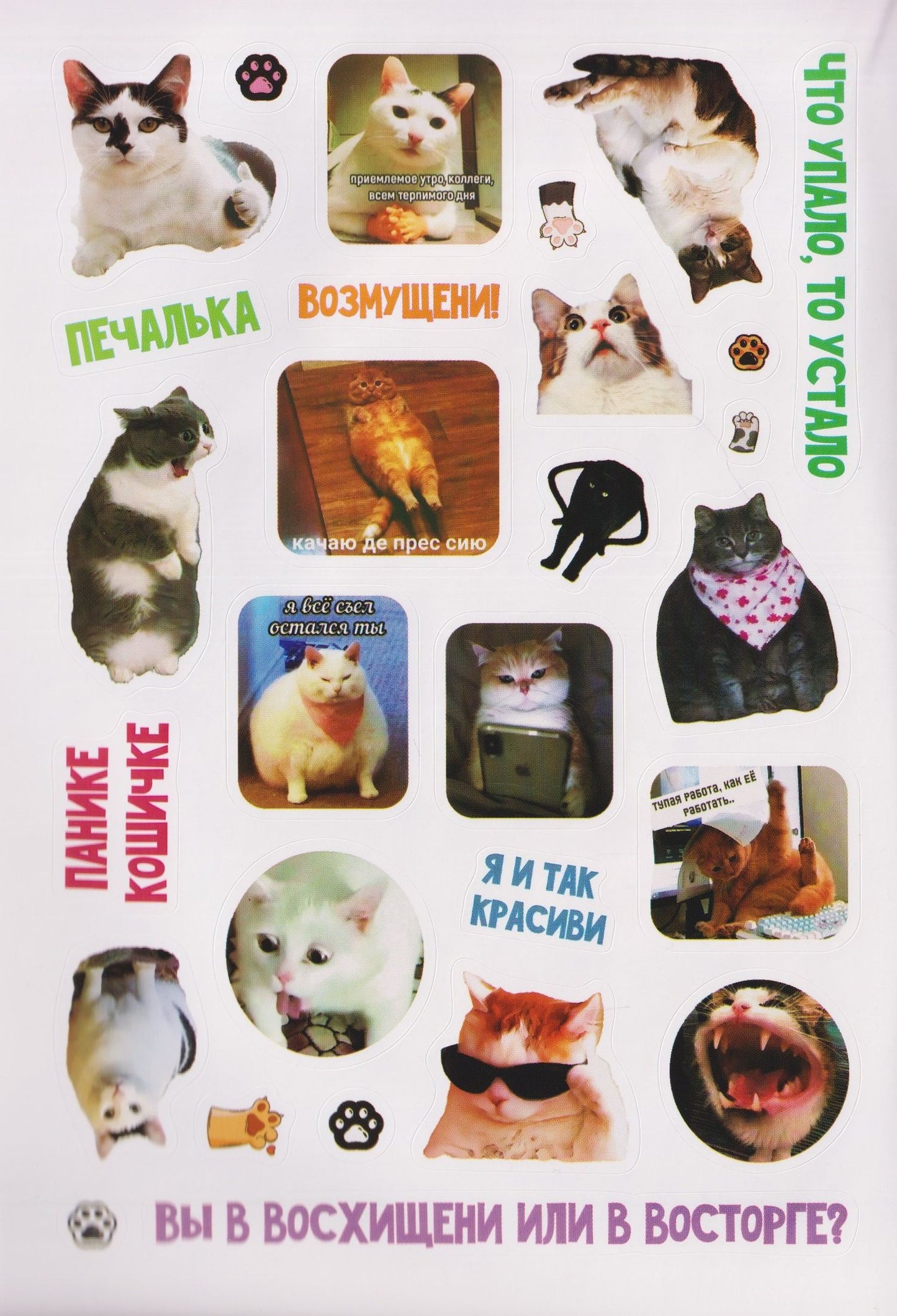 Мяумемы. Котостикеры с ВАУ-эффектом! Наклейки