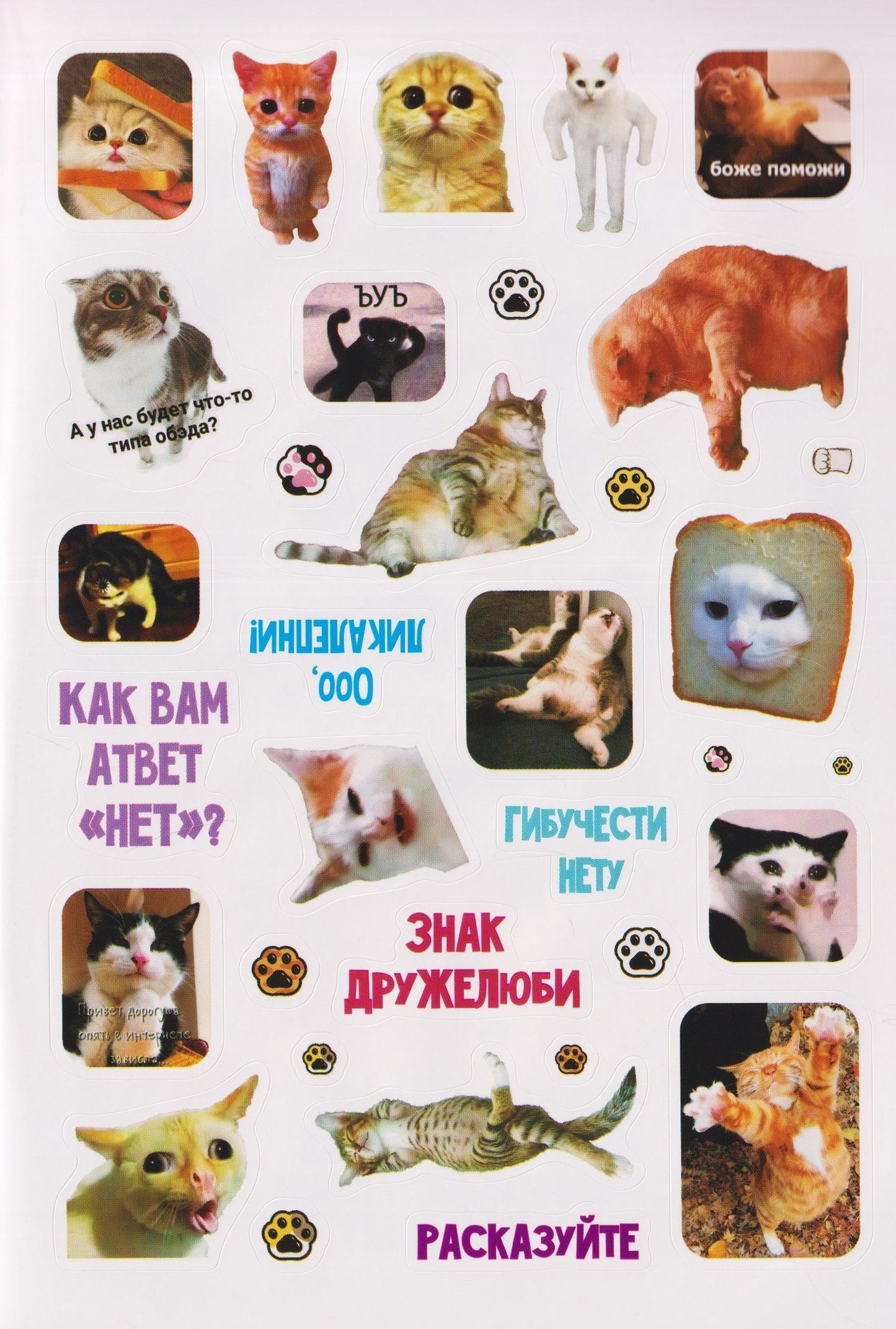 Мяумемы. Котостикеры с ВАУ-эффектом! Наклейки