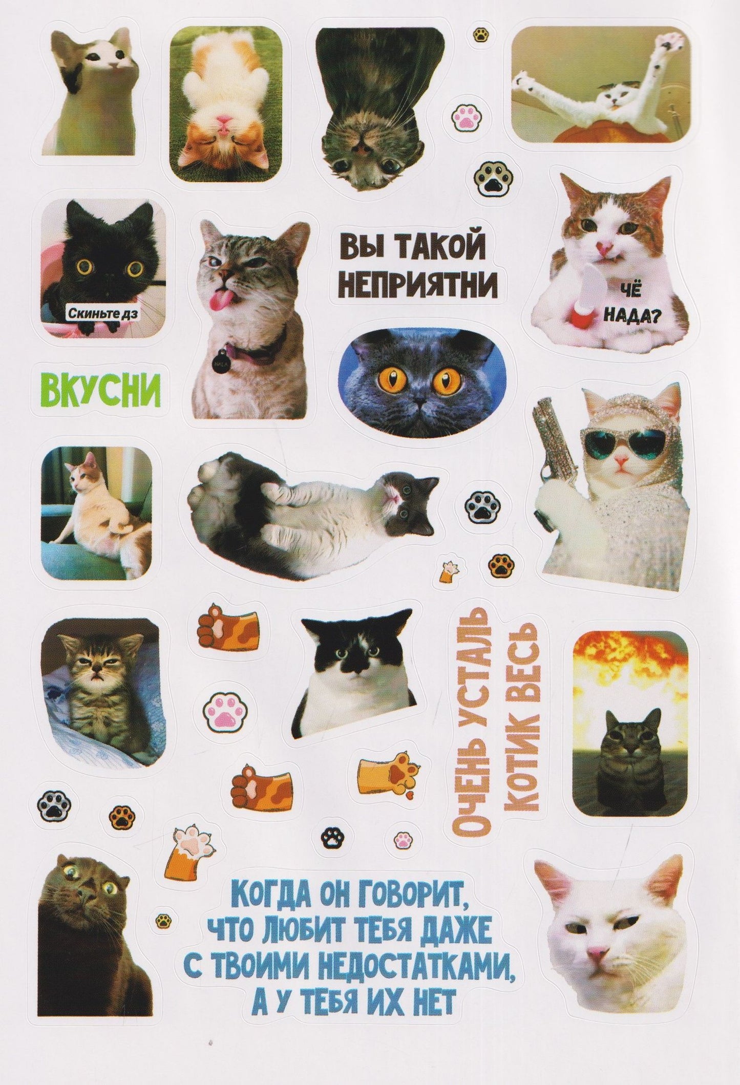 Мяумемы. Котостикеры с ВАУ-эффектом! Наклейки