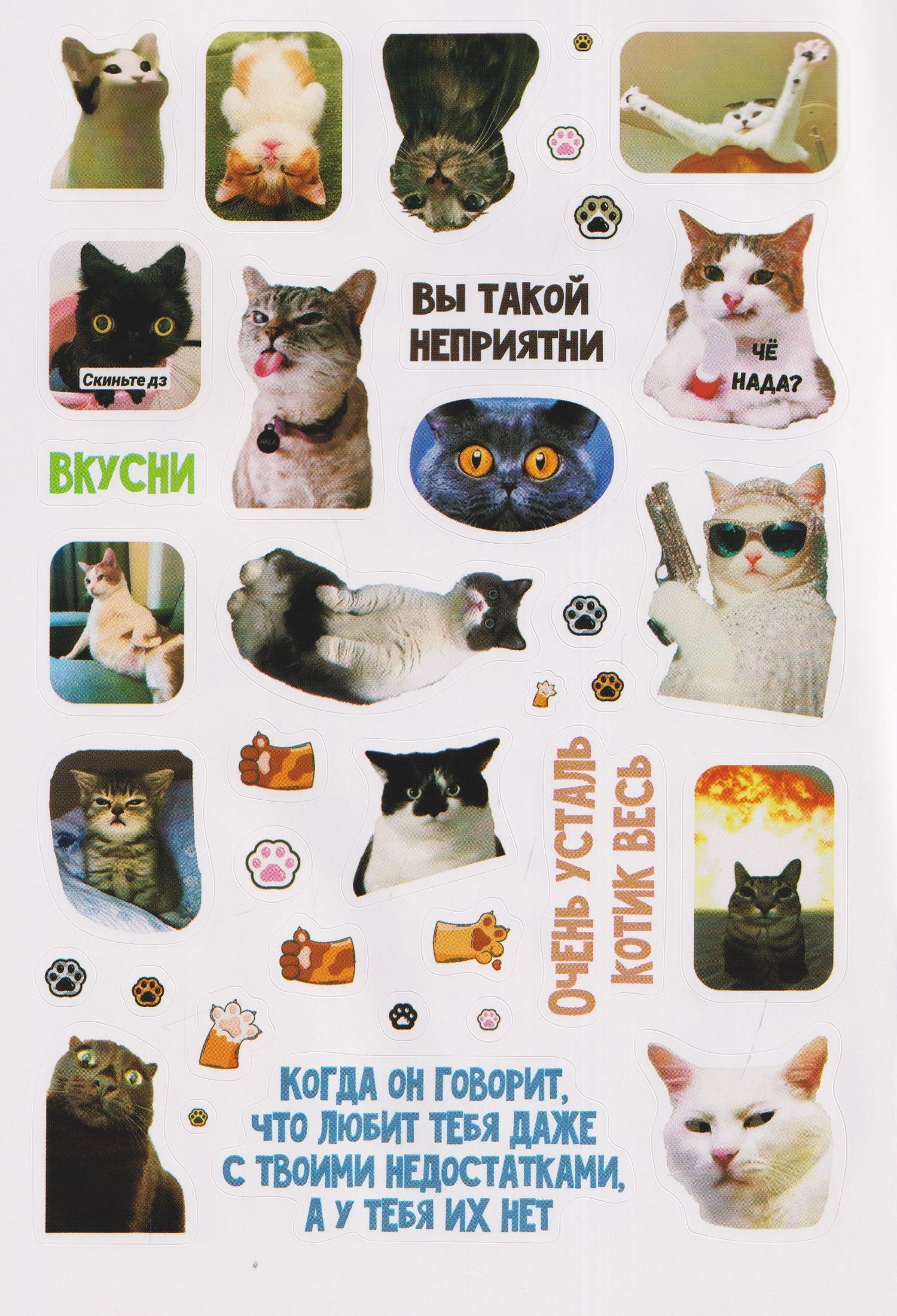 Мяумемы. Котостикеры с ВАУ-эффектом! Наклейки