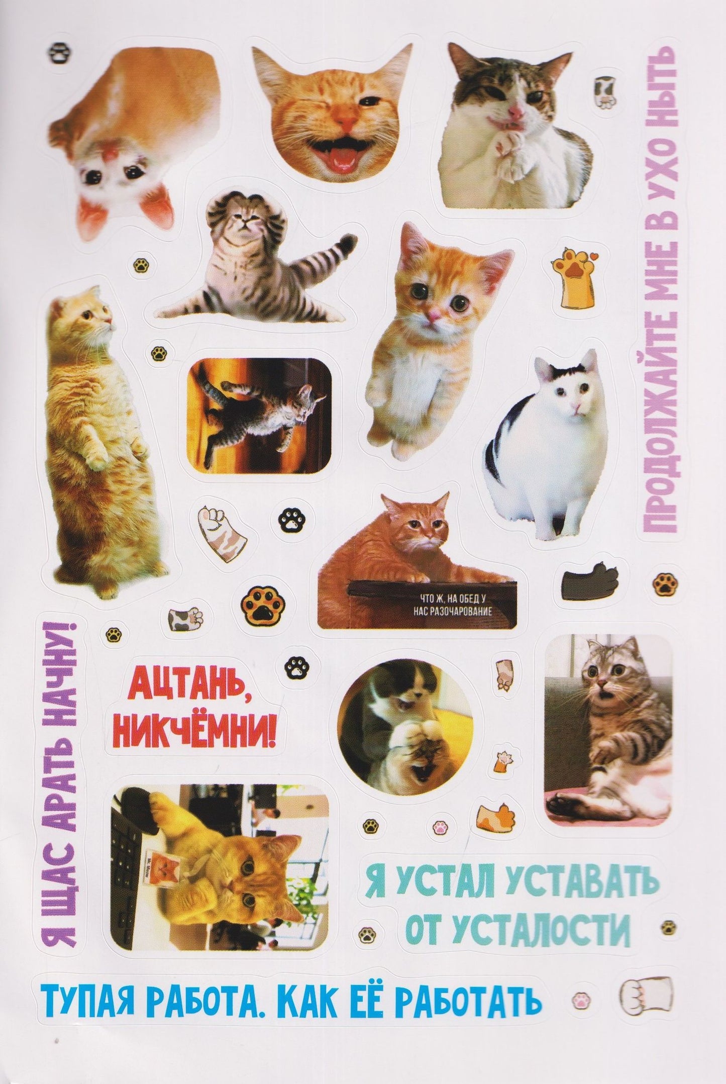 Мяумемы. Котостикеры с ВАУ-эффектом! Наклейки