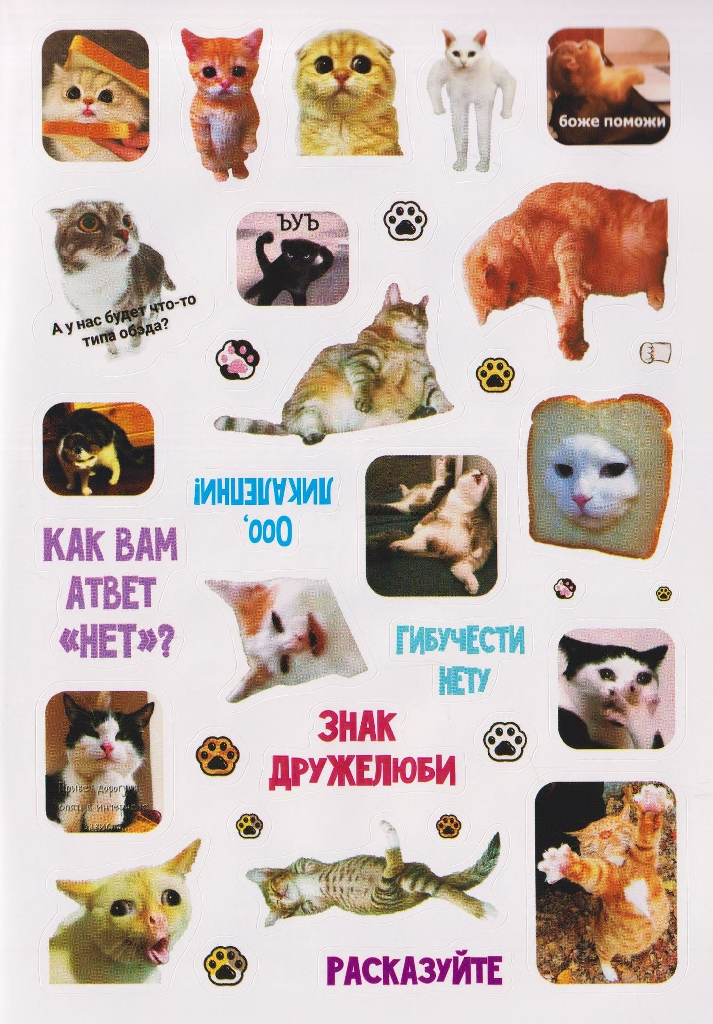 Мяумемы. Котостикеры с ВАУ-эффектом! Наклейки