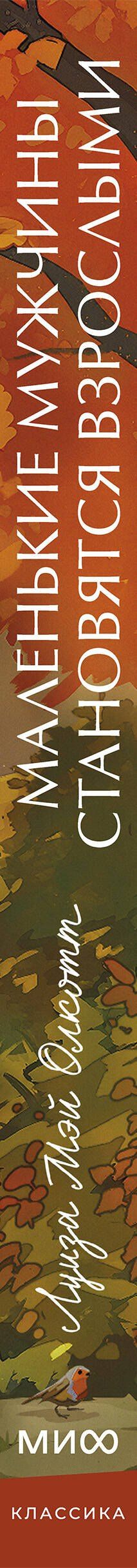 Луиза Олкотт: Маленькие мужчины становятся взрослыми. Вечные истории. Young Adult