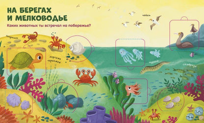 Океаны и моря. Книжка с окошками