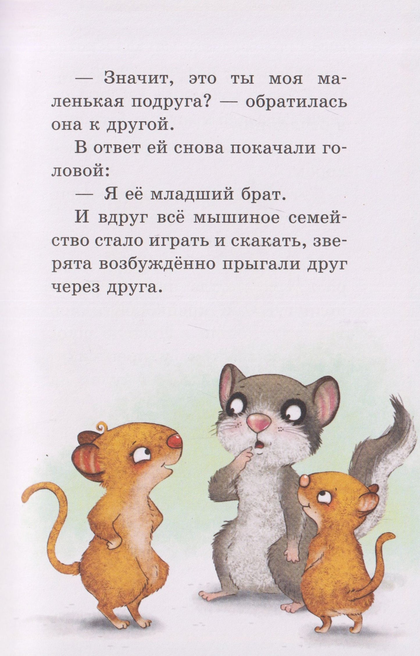 Сабина Больманн: Маленькая соня. Первый день в Лесной школе