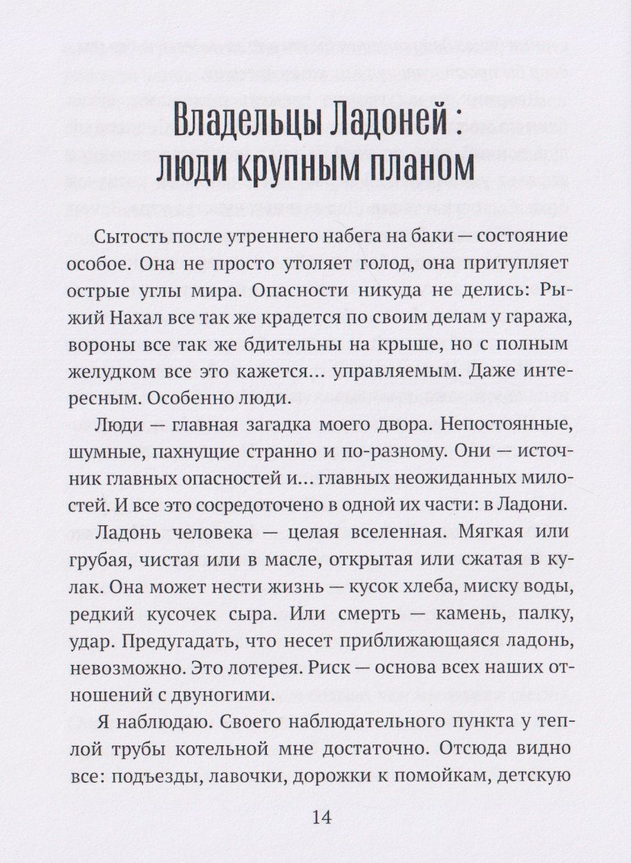 Алекс Прит: Тени на асфальте: Записки Дворового Философа