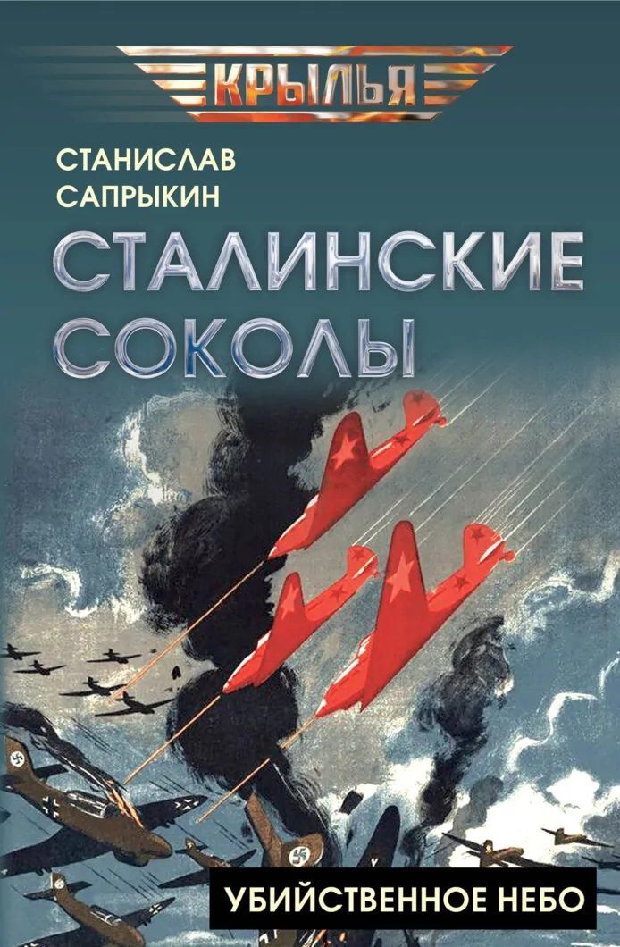 Станислав Сапрыкин: Сталинские соколы. Убийственное небо