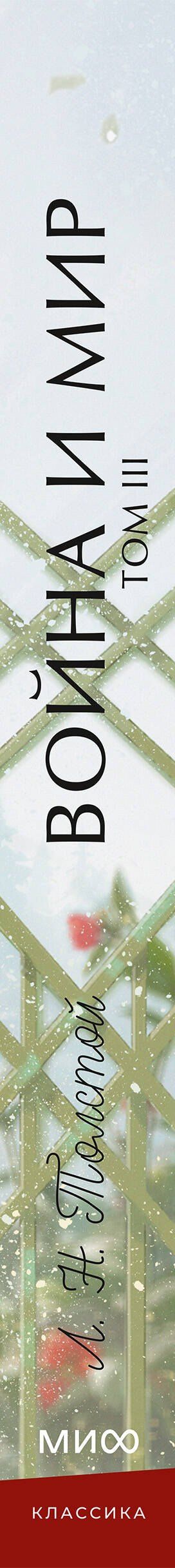 Лев Толстой: Война и мир. Том 3. Вечные истории. Young Adult