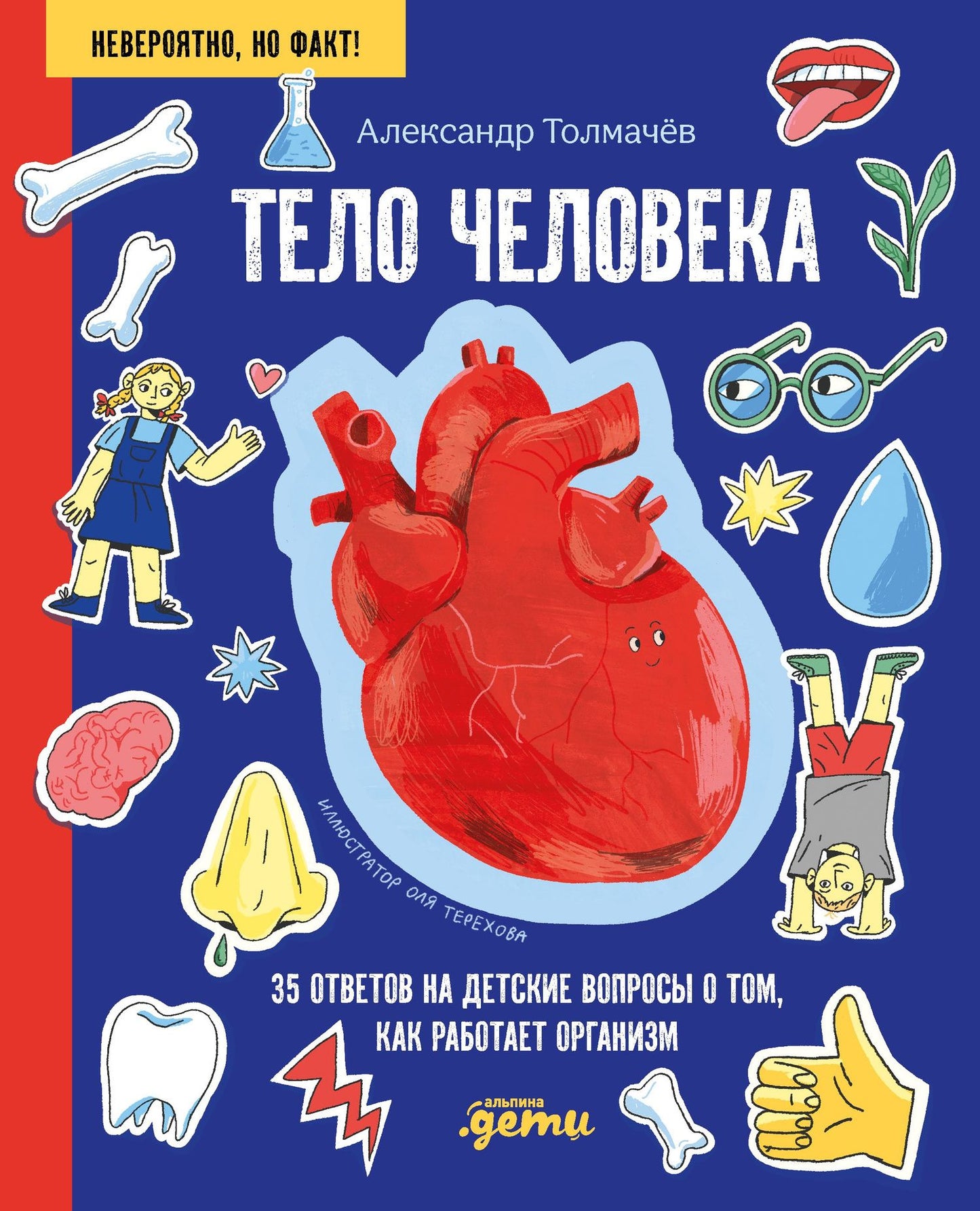 Александр Толмачев: Тело человека. 34 ответа на детские вопросы о том, как работает тело