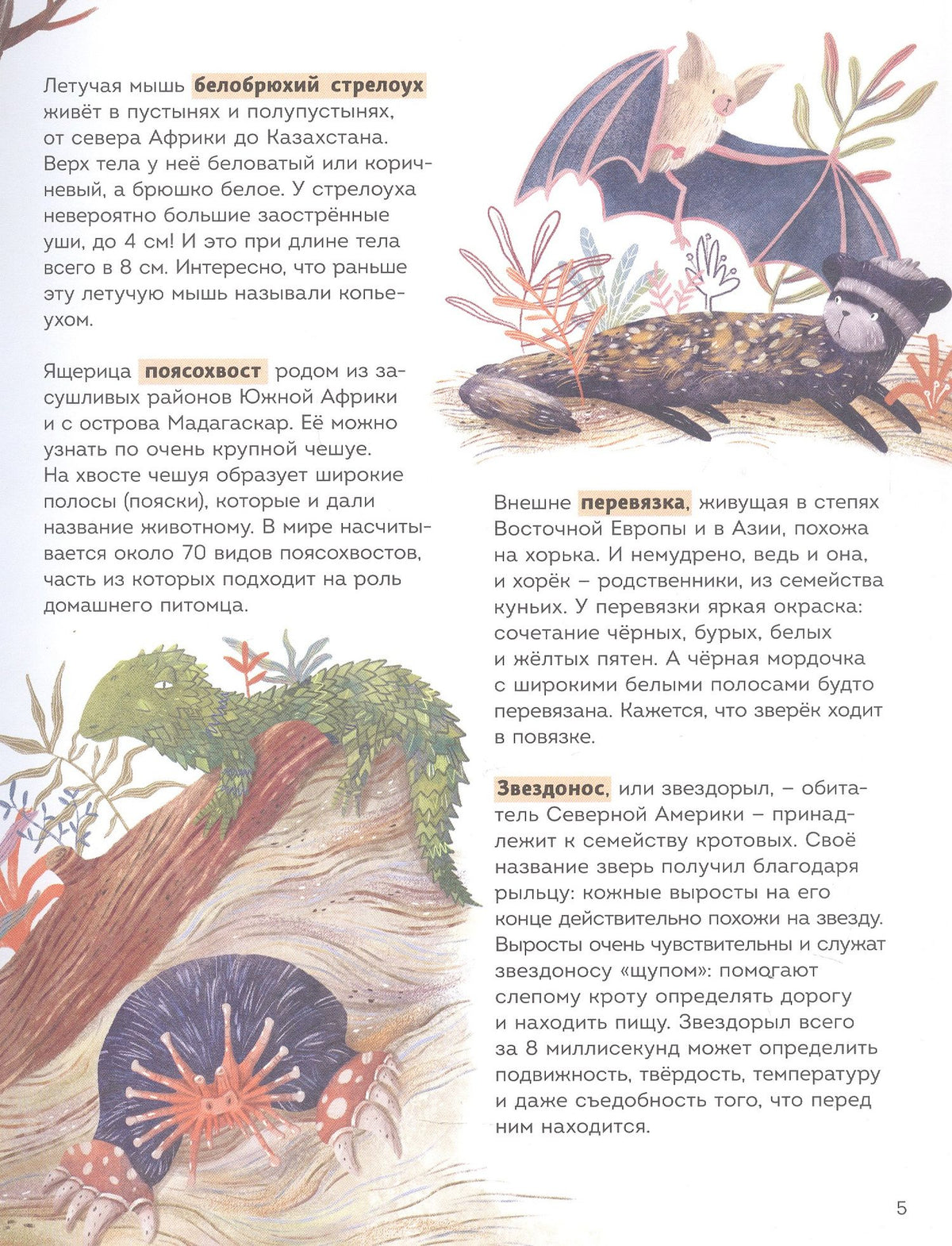 Алла Вейли: Вот так название! (Книгусь)