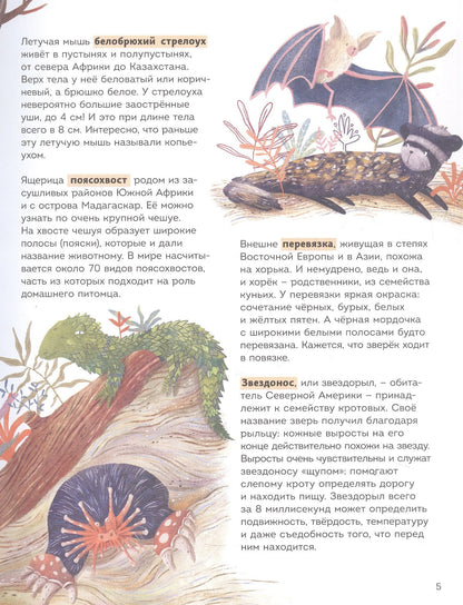 Алла Вейли: Вот так название! (Книгусь)