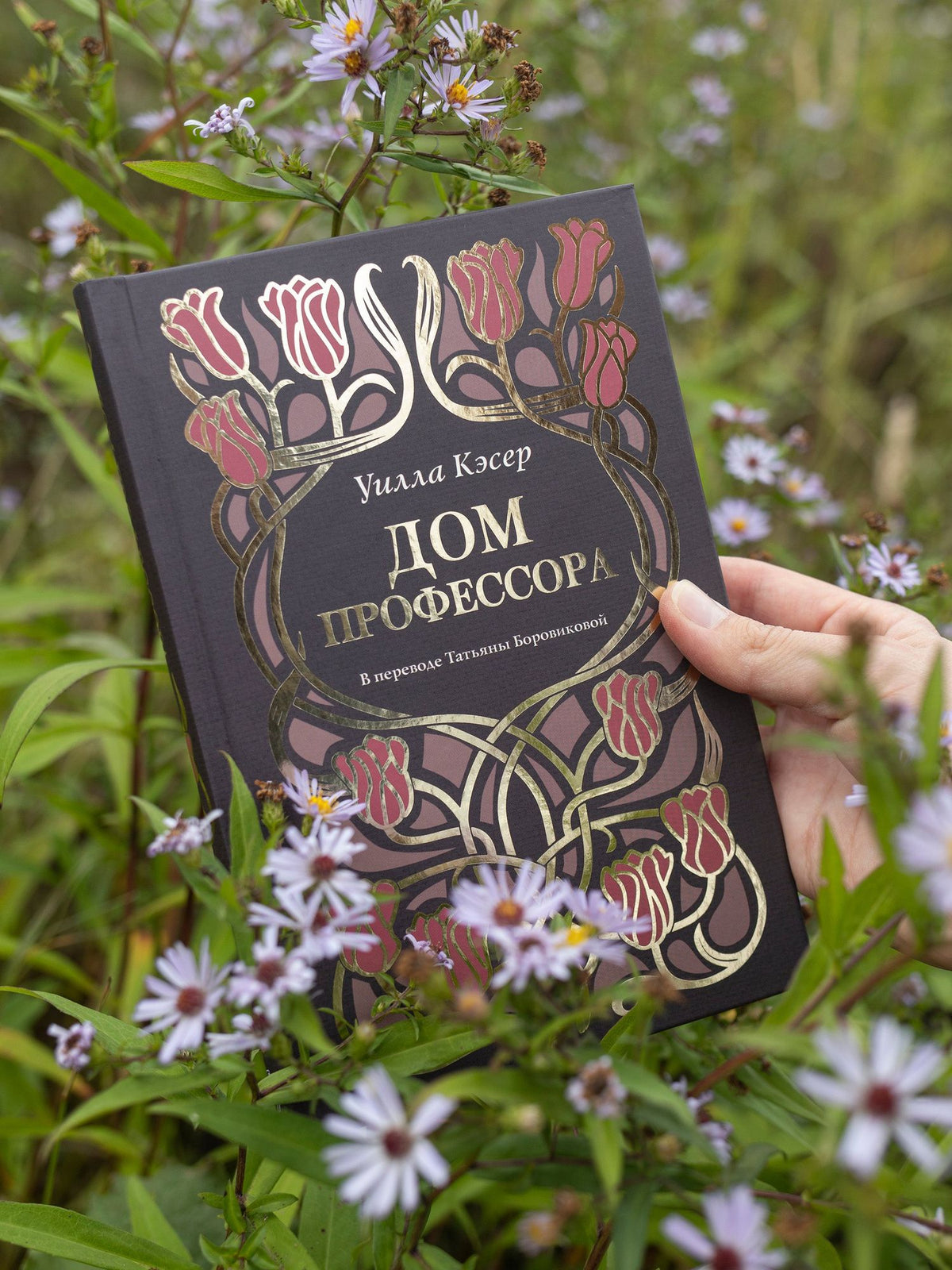 Уилла Кэсер: Дом профессора