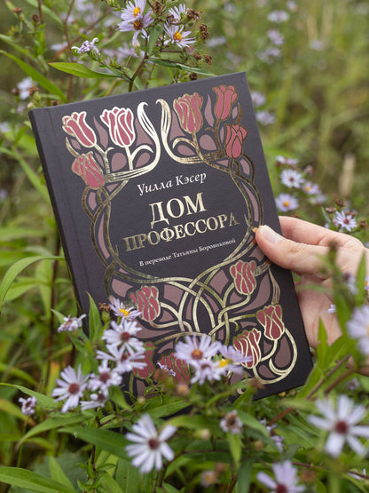 Уилла Кэсер: Дом профессора