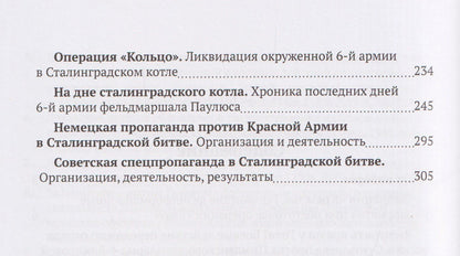 Денис Голубев: Хроники сражения за Сталинград