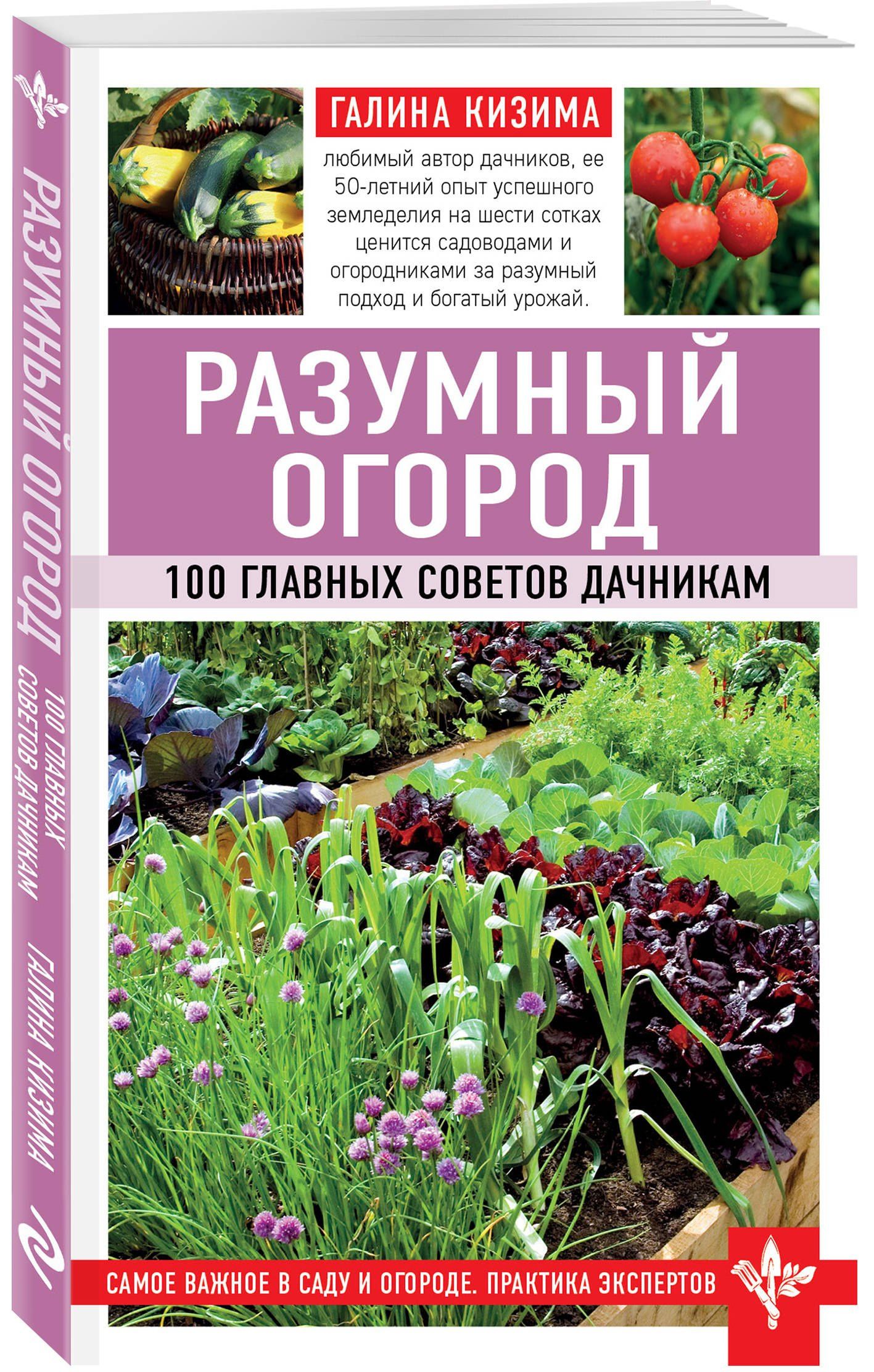 Галина Кизима: Разумный огород. 100 главных советов дачникам