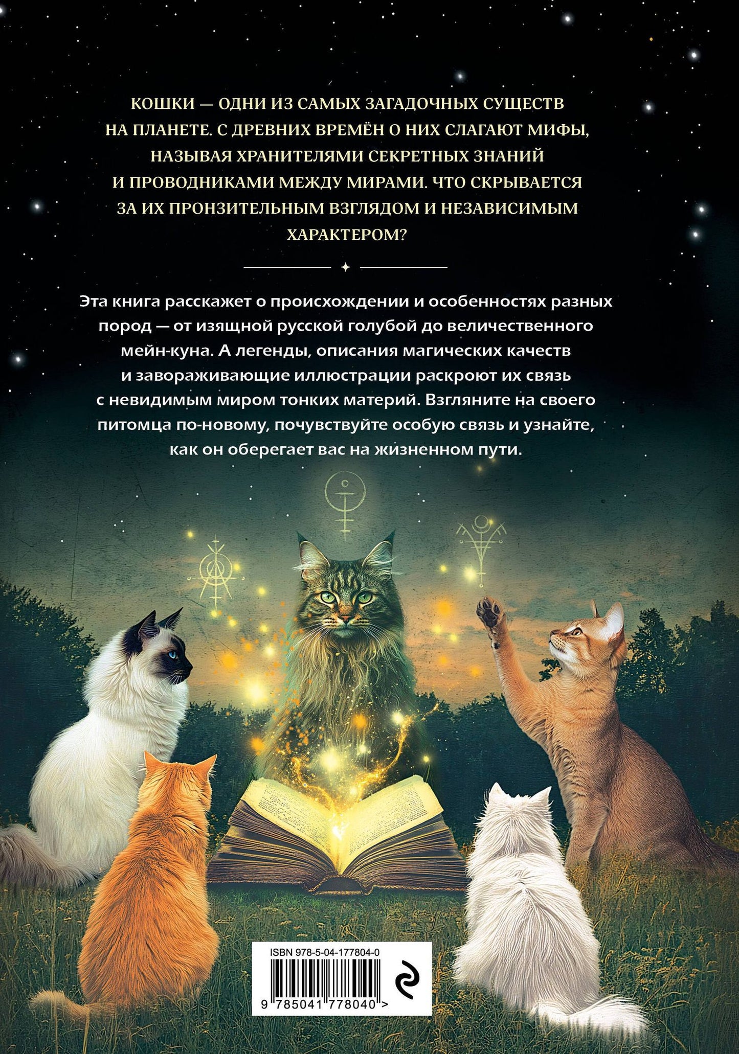 Кошки. Удивительные породы и их секреты