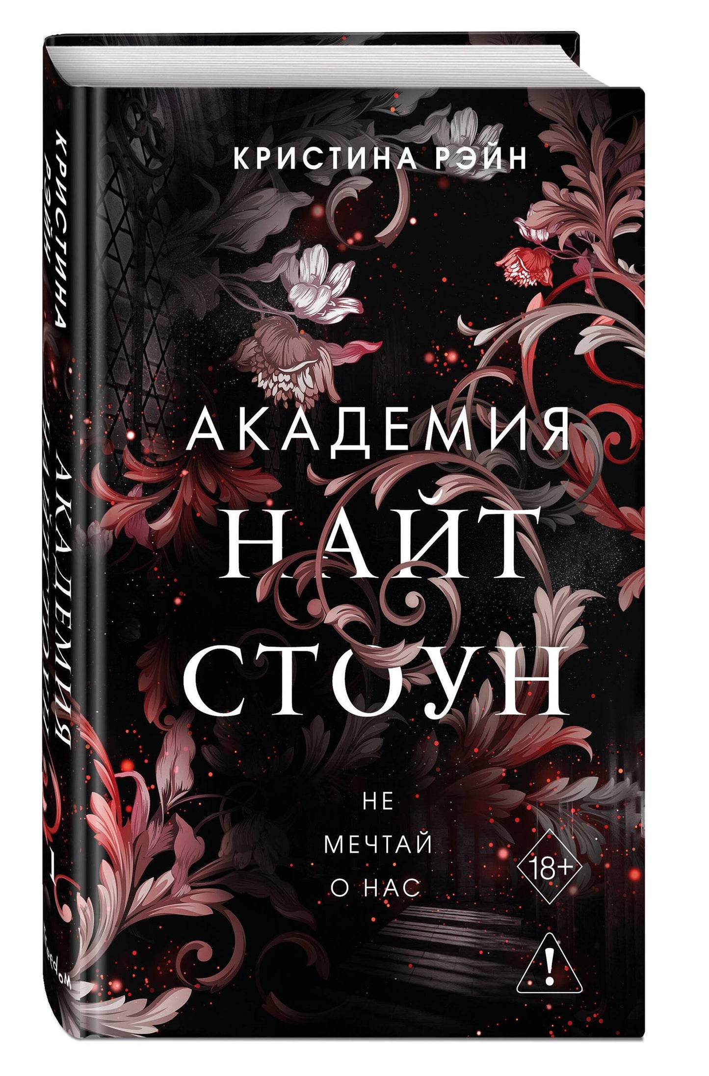 Кристина Рэйн: Не мечтай о нас (#1)