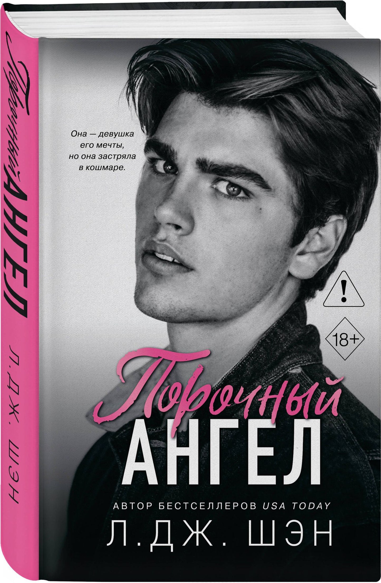 Л. Шэн: Школа Всех Святых. Порочный ангел (#4)