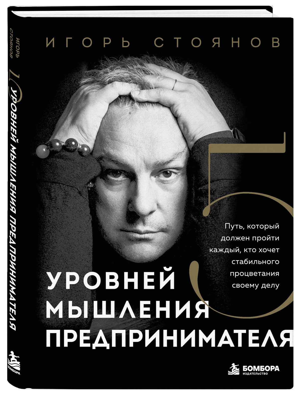 Стоянов Игорь: Пять уровней мышления предпринимателя. Путь, который должен пройти каждый, кто хочет стабильного процветания своему делу