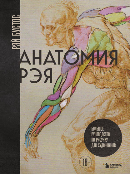 Рэй Бустос: Анатомия Рэя. Большое руководство по рисунку для художников