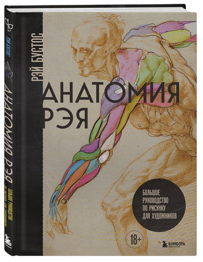 Рэй Бустос: Анатомия Рэя. Большое руководство по рисунку для художников