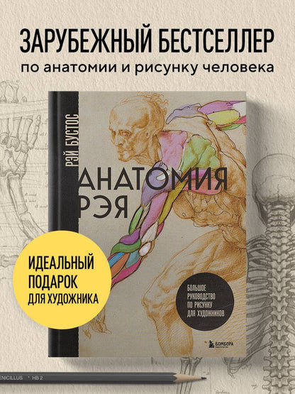 Рэй Бустос: Анатомия Рэя. Большое руководство по рисунку для художников
