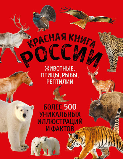 Юлия Добрыня: Красная книга России. Большой формат. Более 500 уникальных иллюстраций и фактов (новое издание) (основной)