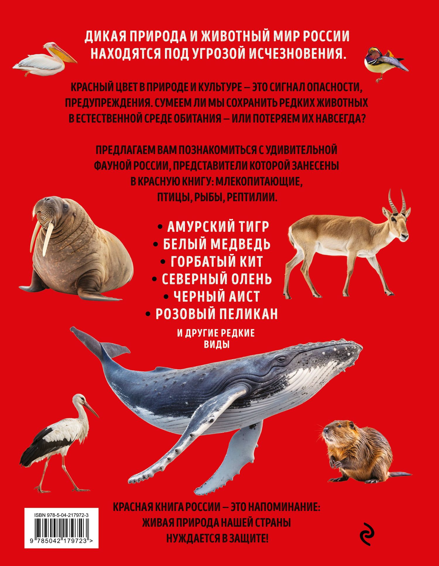 Юлия Добрыня: Красная книга России. Большой формат. Более 500 уникальных иллюстраций и фактов (новое издание) (основной)