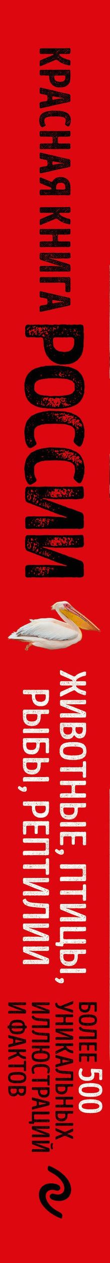 Юлия Добрыня: Красная книга России. Большой формат. Более 500 уникальных иллюстраций и фактов (новое издание) (основной)