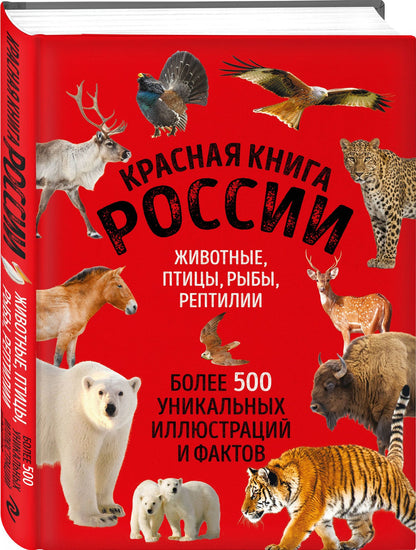 Юлия Добрыня: Красная книга России. Большой формат. Более 500 уникальных иллюстраций и фактов (новое издание) (основной)