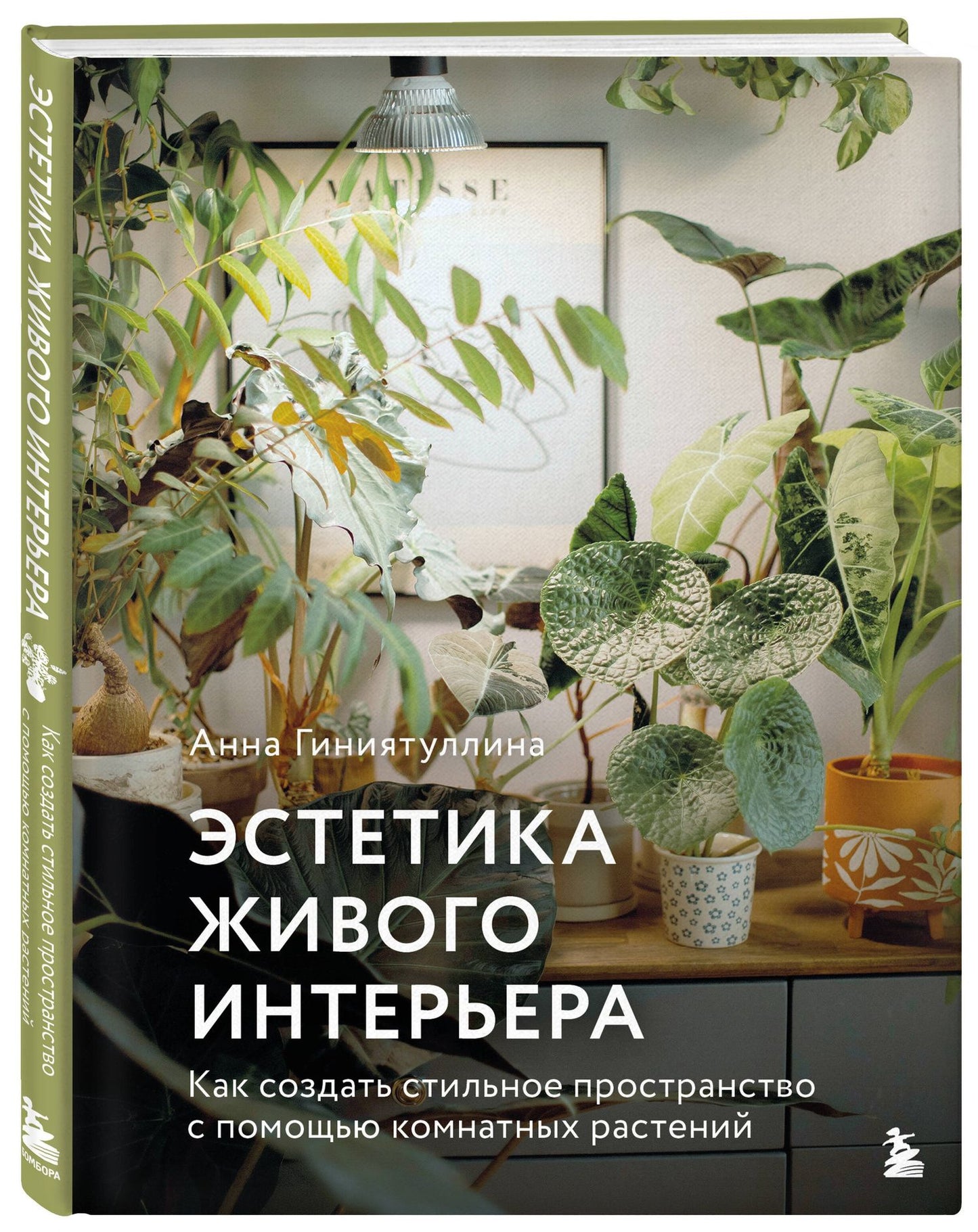 Анна Гиниятуллина: Эстетика живого интерьера. Как создать стильное пространство с помощью комнатных растений