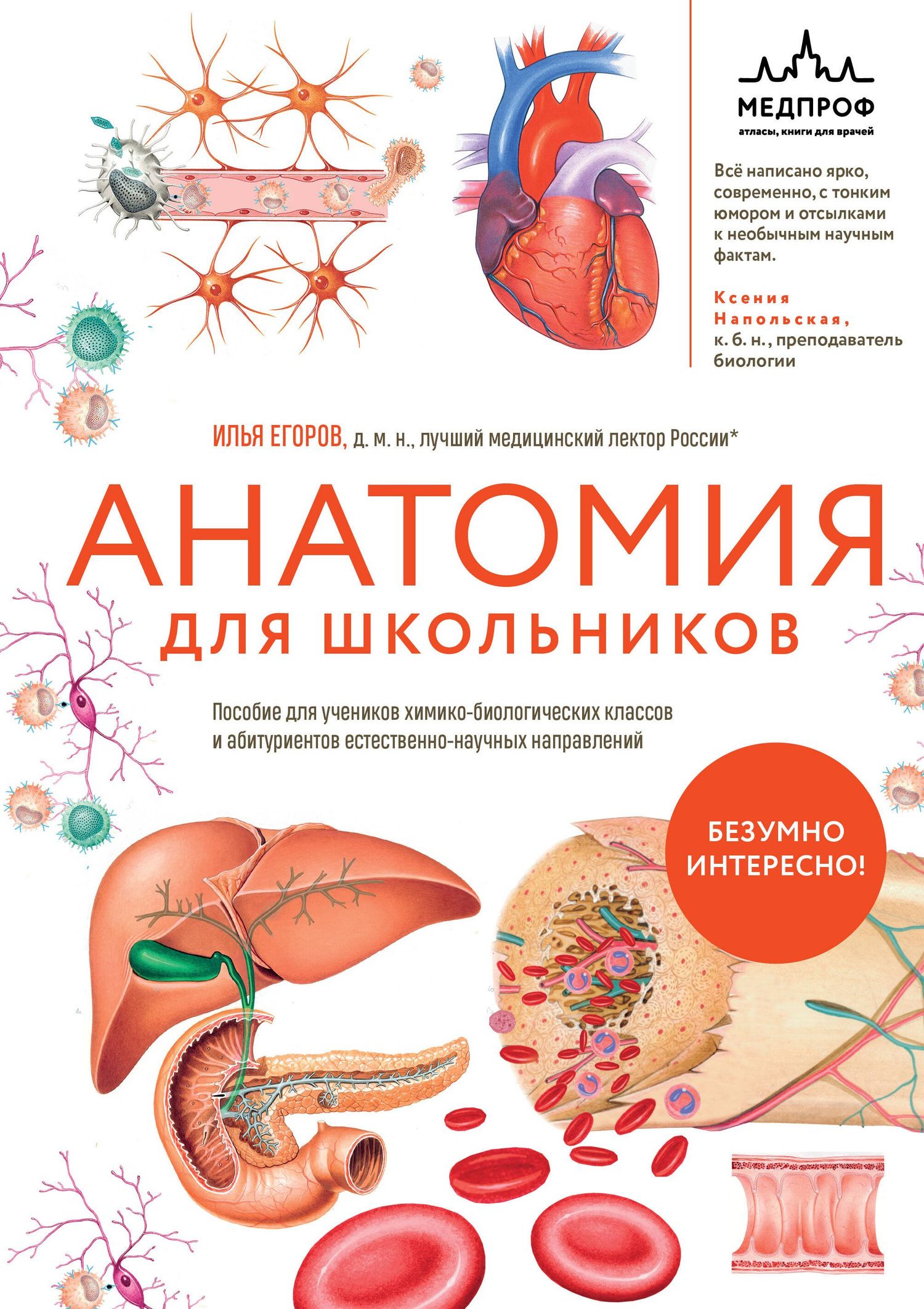 Илья Егоров: Анатомия для школьников. Пособие для учеников химико-биологических классов и абитуриентов естественно-научных направлений