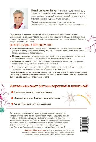 Илья Егоров: Анатомия для школьников. Пособие для учеников химико-биологических классов и абитуриентов естественно-научных направлений