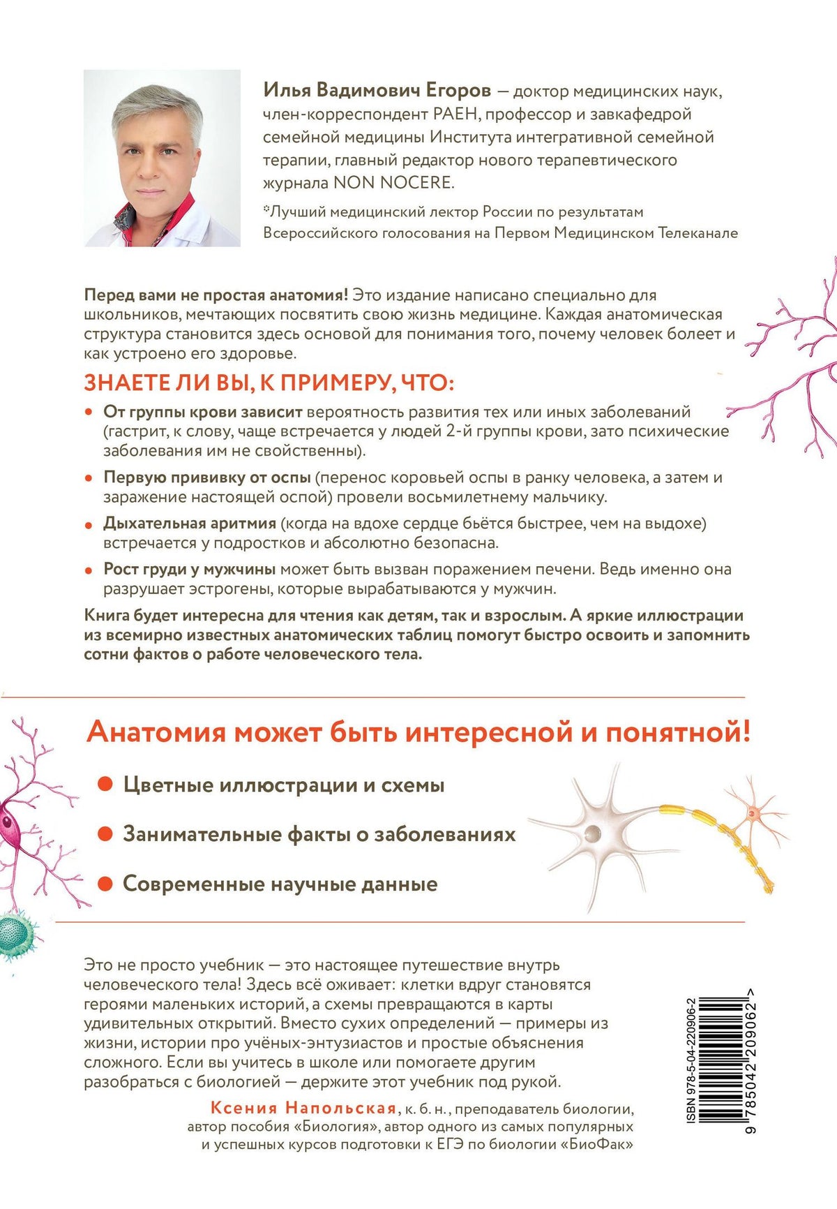 Илья Егоров: Анатомия для школьников. Пособие для учеников химико-биологических классов и абитуриентов естественно-научных направлений