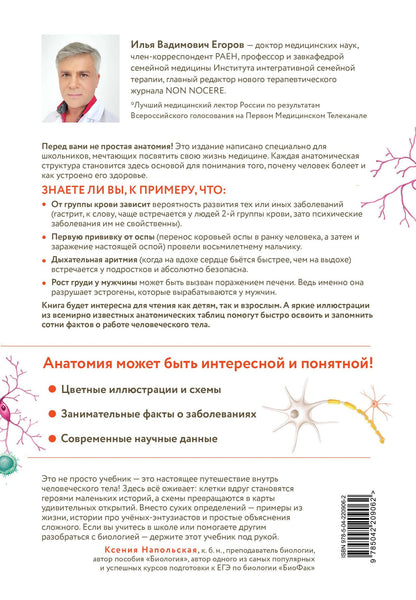 Илья Егоров: Анатомия для школьников. Пособие для учеников химико-биологических классов и абитуриентов естественно-научных направлений