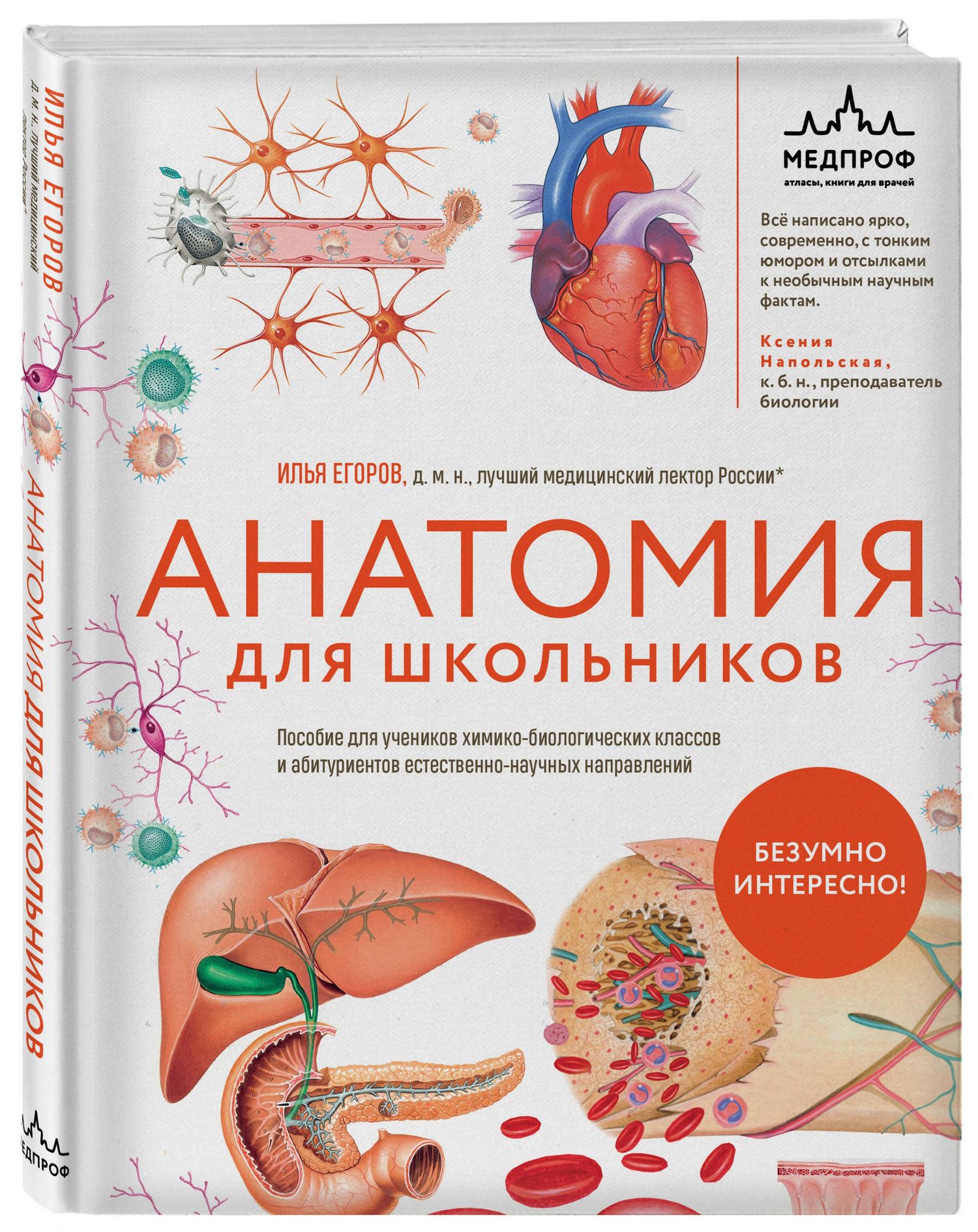 Илья Егоров: Анатомия для школьников. Пособие для учеников химико-биологических классов и абитуриентов естественно-научных направлений
