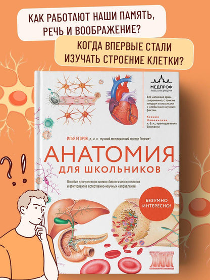 Илья Егоров: Анатомия для школьников. Пособие для учеников химико-биологических классов и абитуриентов естественно-научных направлений