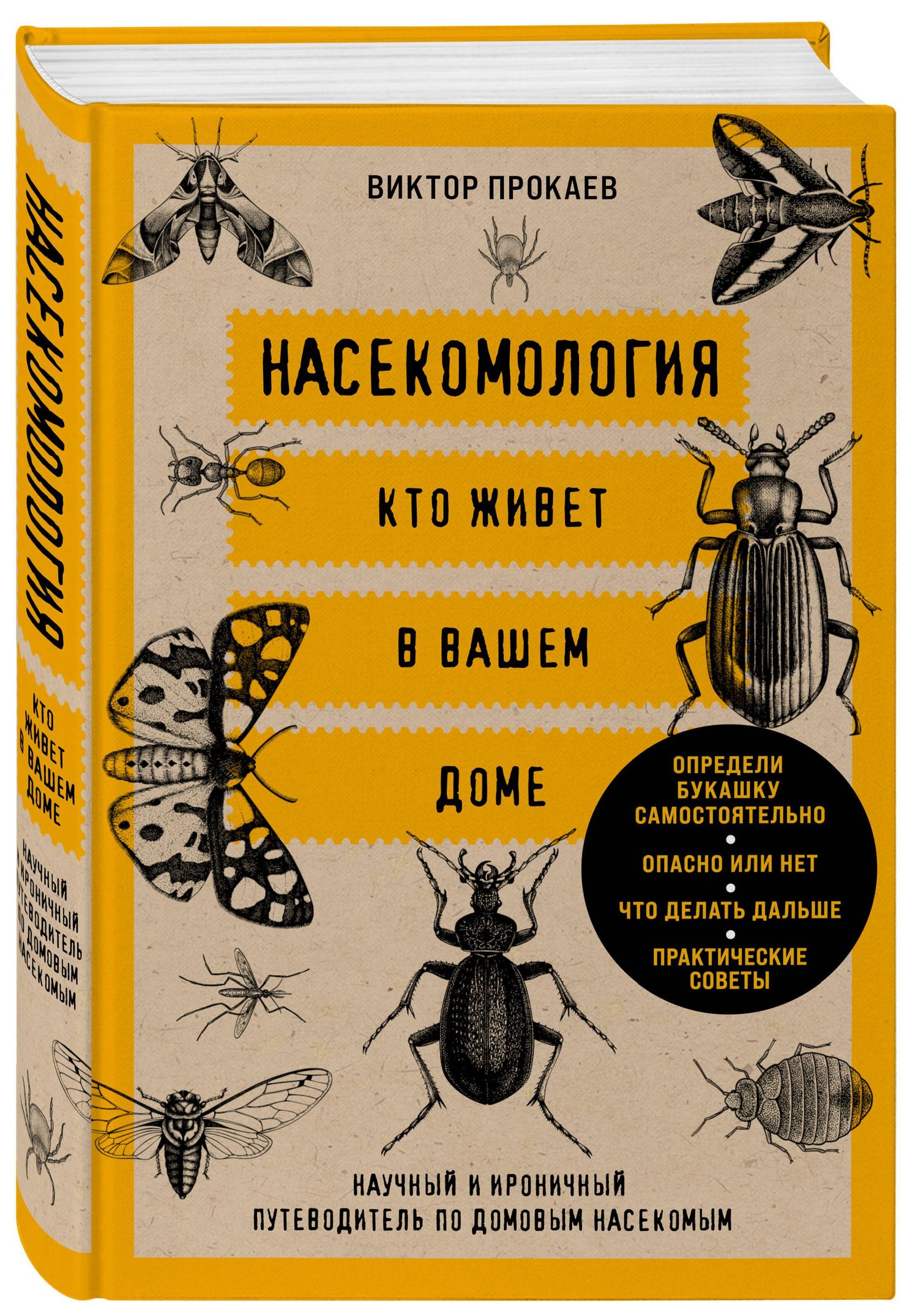Виль Малиношевский: Насекомология. Кто живет в вашем доме: научный и ироничный путеводитель по домовым насекомым