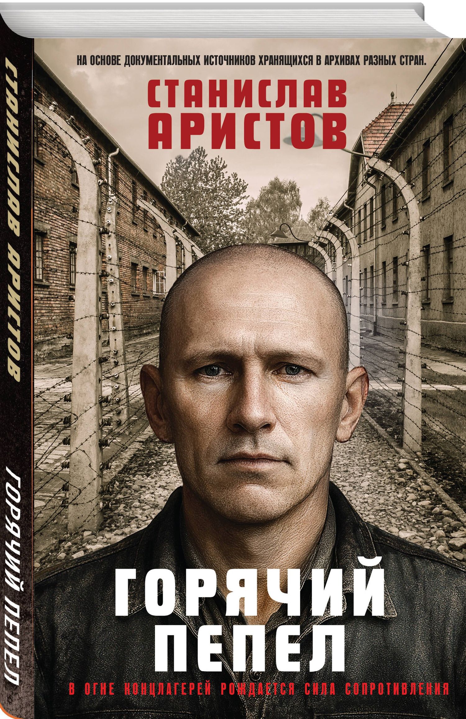 Станислав Аристов: Горячий пепел