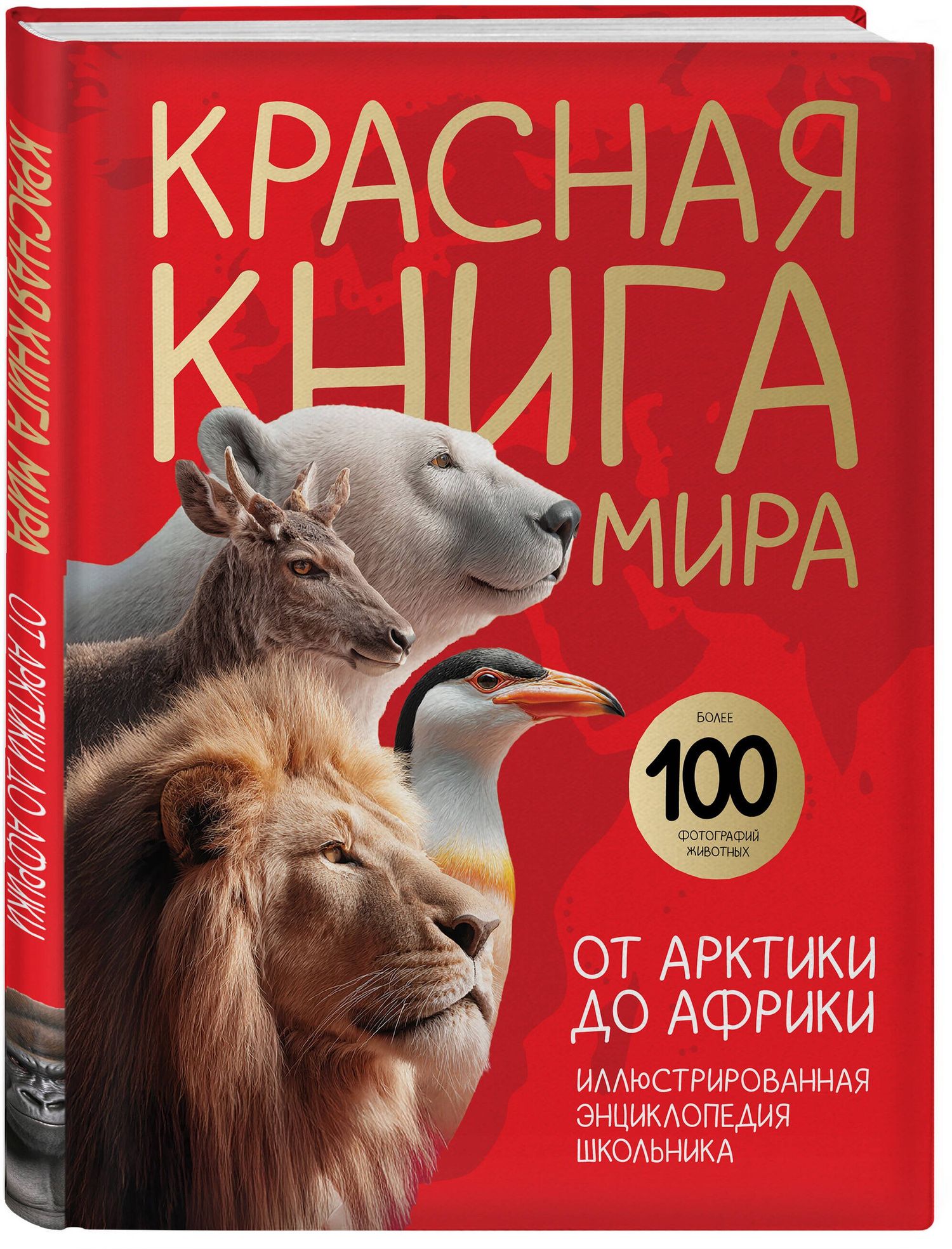 Юлия Добрыня: Красная книга мира. От Арктики до Африки. Иллюстрированная энциклопедия школьника (48 стр.)