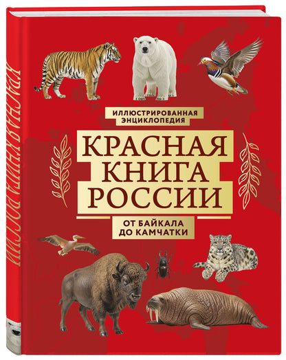 Юлия Добрыня: Красная книга России. От Байкала до Камчатки. Иллюстрированная энциклопедия (48 стр.)