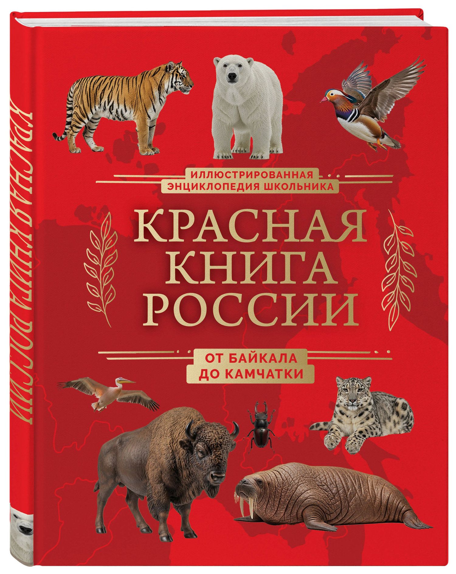 Юлия Добрыня: Красная книга России. От Байкала до Камчатки. Иллюстрированная энциклопедия школьника (48 стр.)