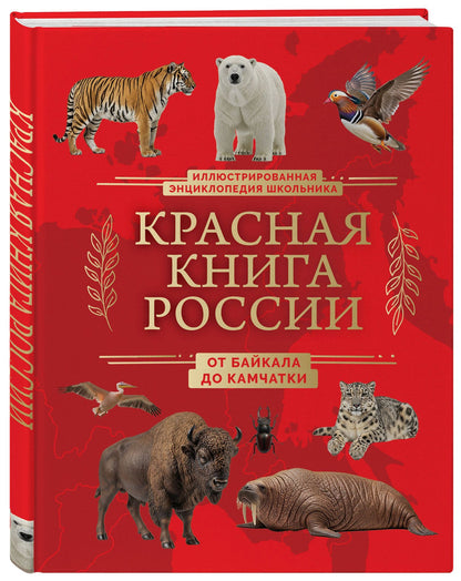 Юлия Добрыня: Красная книга России. От Байкала до Камчатки. Иллюстрированная энциклопедия школьника (48 стр.)