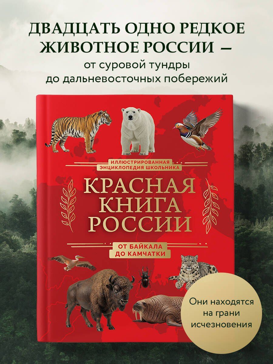 Юлия Добрыня: Красная книга России. От Байкала до Камчатки. Иллюстрированная энциклопедия школьника (48 стр.)