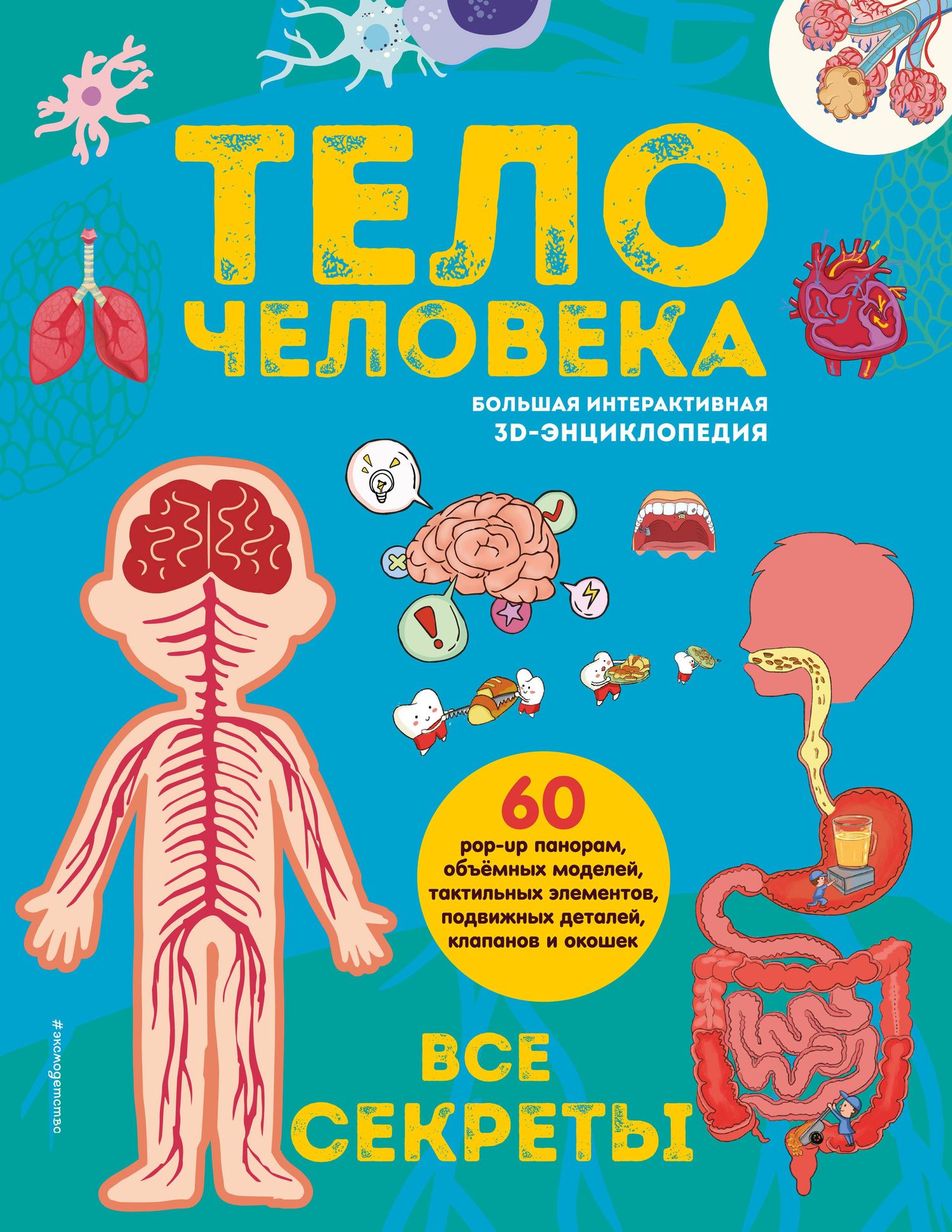 Тело человека. Все секреты. Большая интерактивная 3D-энциклопедия