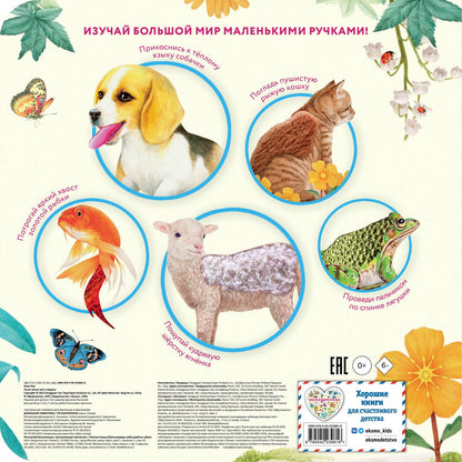 Домашние животные