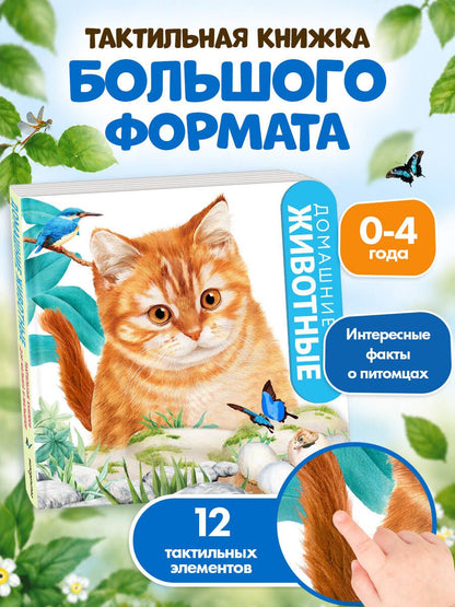 Домашние животные