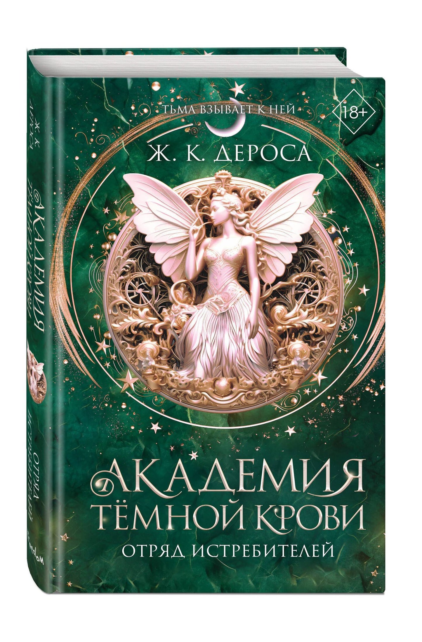 Ж. ДеРоса: Академия темной крови. Отряд истребителей (#2)