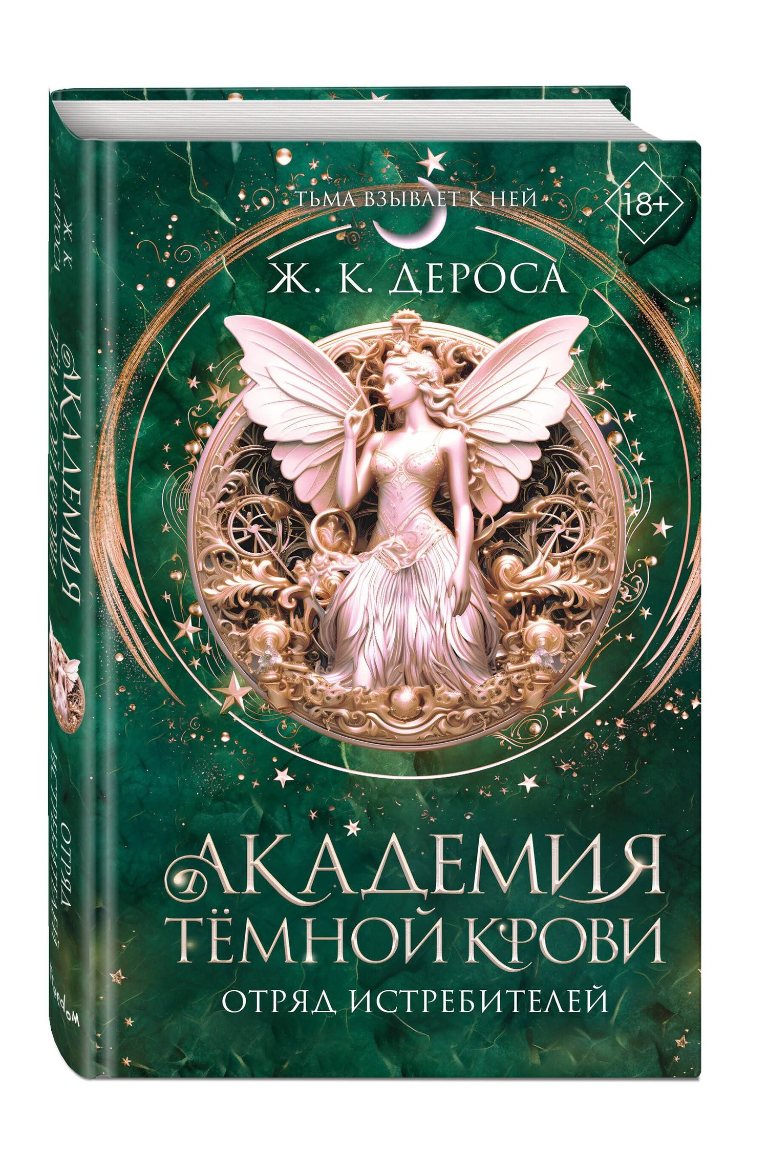 Ж. ДеРоса: Академия темной крови. Отряд истребителей (#2)